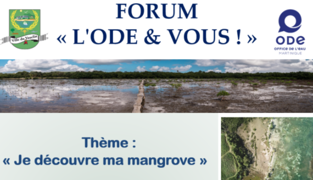 forum Vauclin févr2020