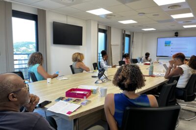 Agrandir l'image 1 sur 1, fenêtre modale