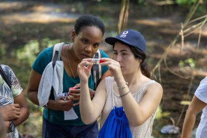 Agrandir l'image, fenêtre modale