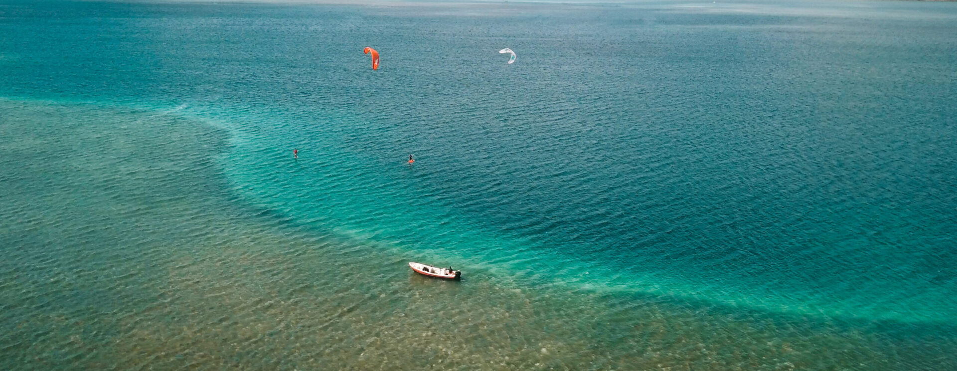 Image décorative montrant un littoral martiniquais