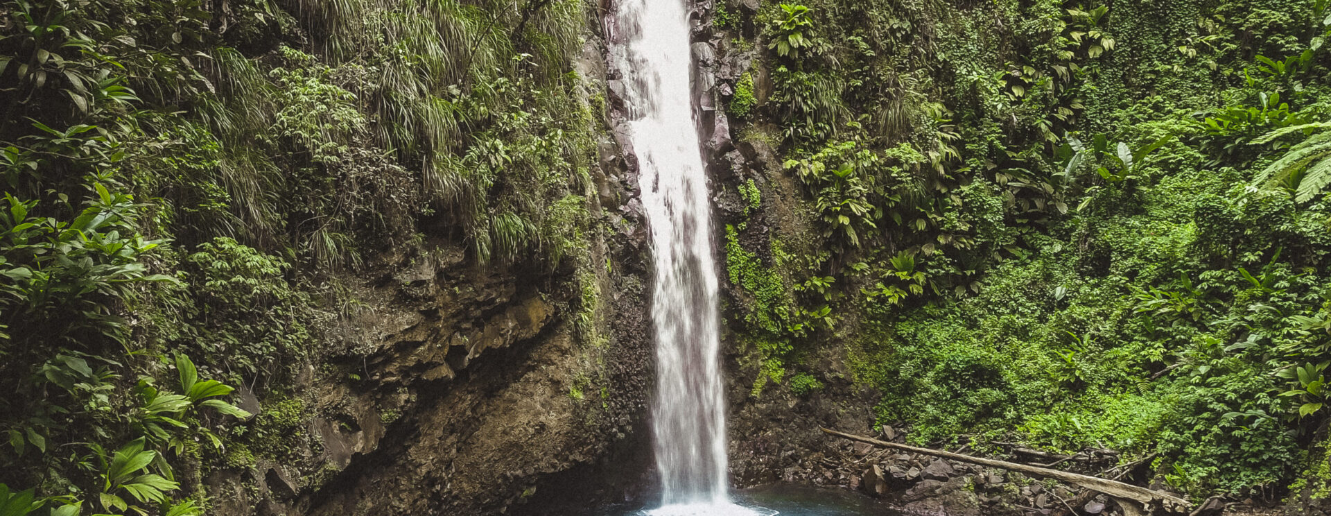 Photo rivière de case navire (martinique) - photo décorative
