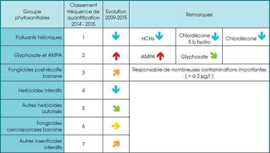 jpg bilan