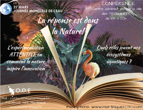 png Invitation Conference JME 2018