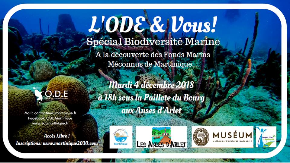 ODEVous biodiversité marine