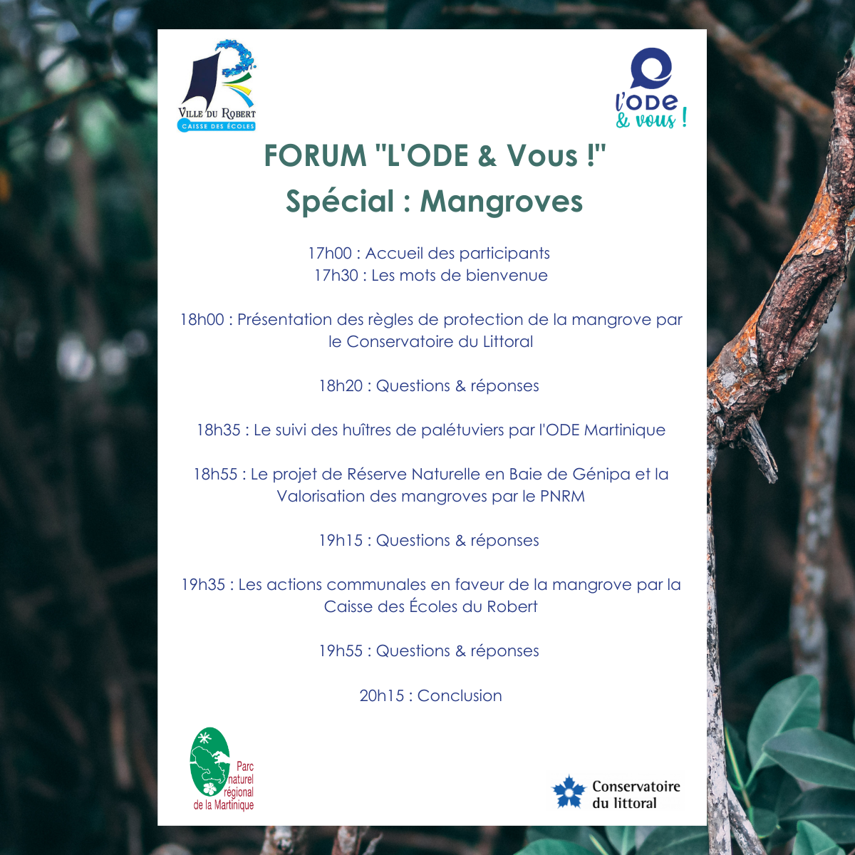 Programme Forum ROBERT Linkedin