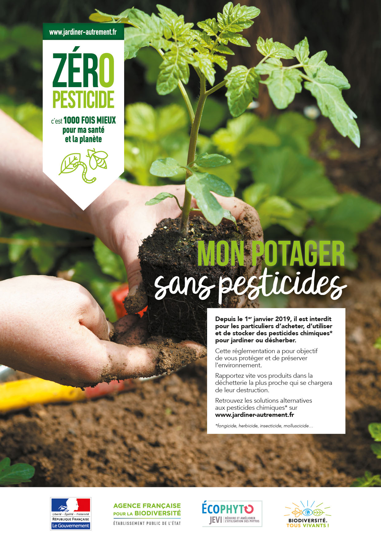 affiche a4 web potager ok